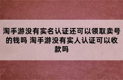 淘手游没有实名认证还可以领取卖号的钱吗 淘手游没有实人认证可以收款吗